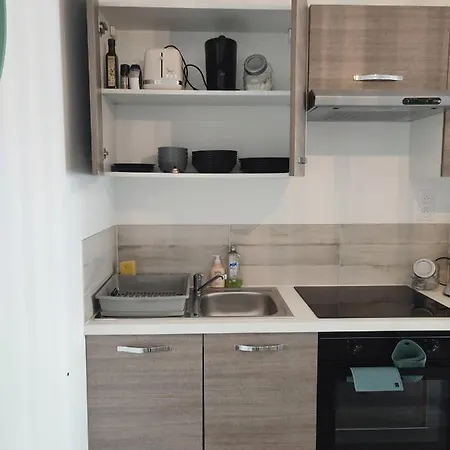 Apartment Joli Avec Jardin-terrasse Prive Brest